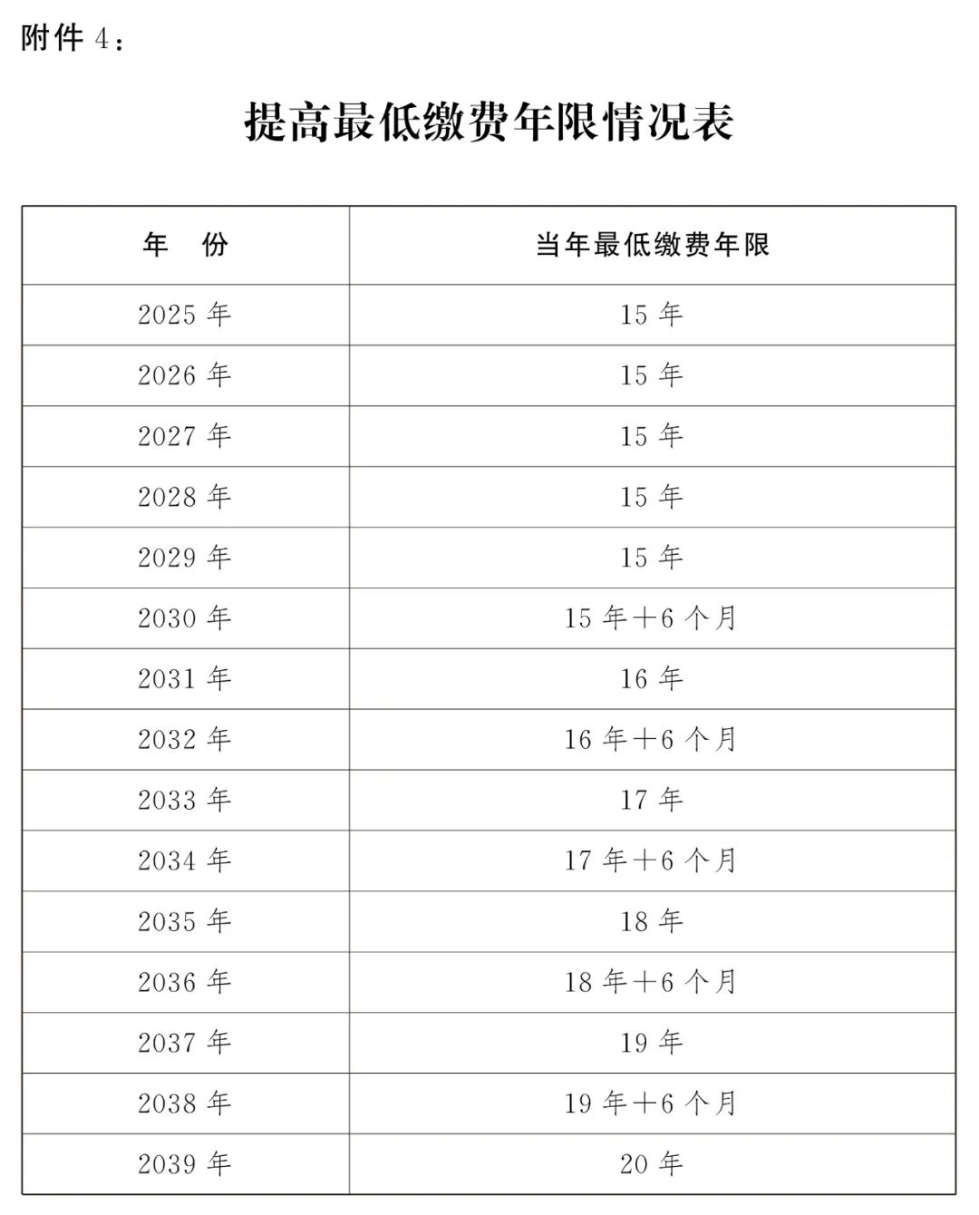 2024十二生肖49个码,数据报告解读落实_半成款94.981