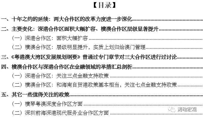 新澳资料免费最新,详细讲解解答解释执行_解谜制91.173