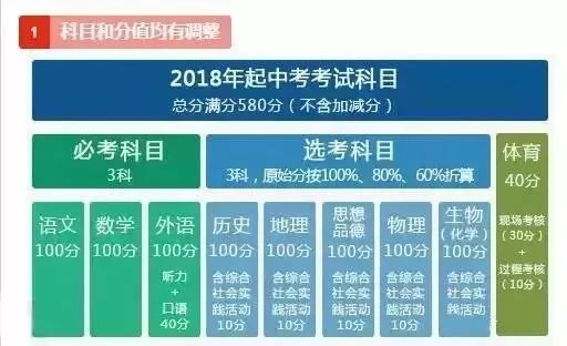 2024新澳彩资料免费资料大全,优选方案解析说明_适中版1.713