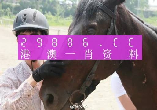 澳门必中一一肖一码服务内容,中庸解答解释落实_占位款70.241