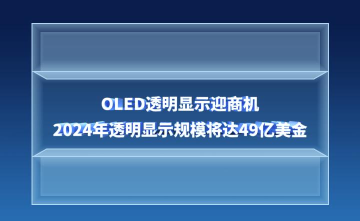 2024十二生肖49码表,深度分析解析说明_学习款30.766