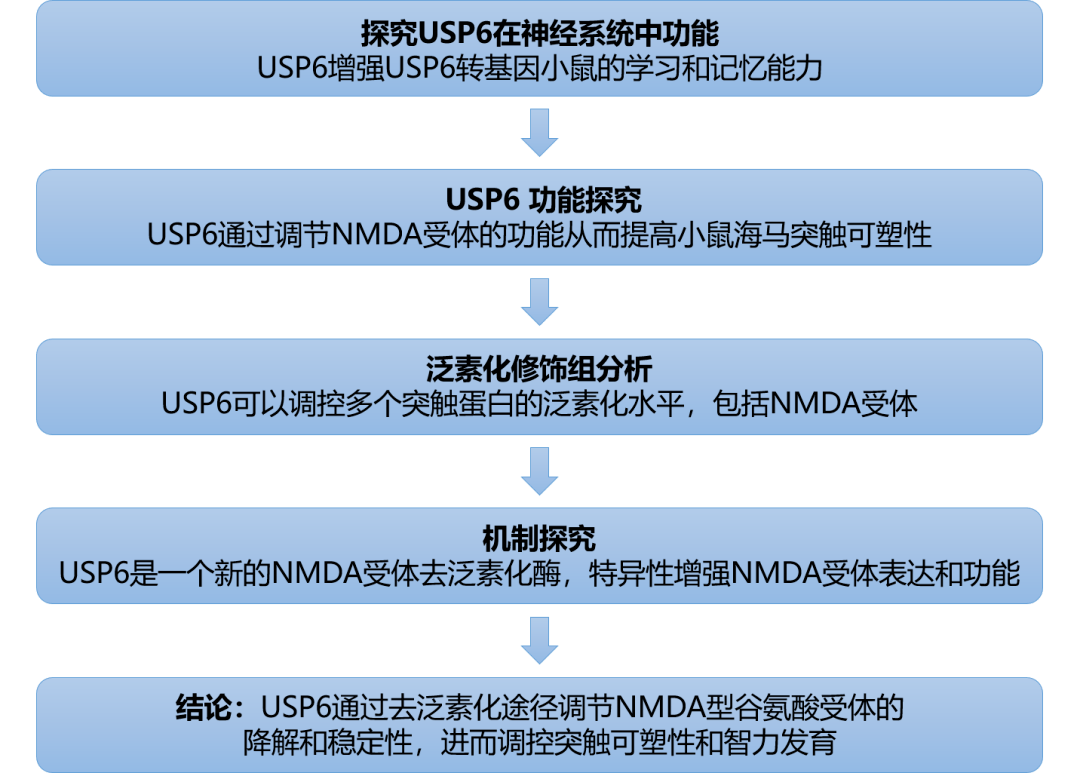 2024新澳正版资料最新更新,系统化风险评估_激发版12.48