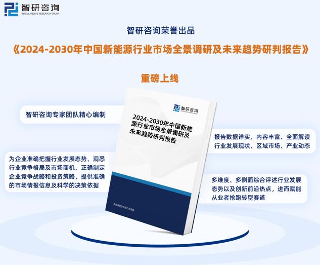 2024新奥精准正版资料,精密分析路径解析解答_学习型0.558