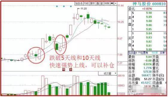 新奥天天精准资料大全,实地解析解答定义_供给版21.135